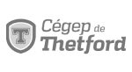Cégep de Thetford